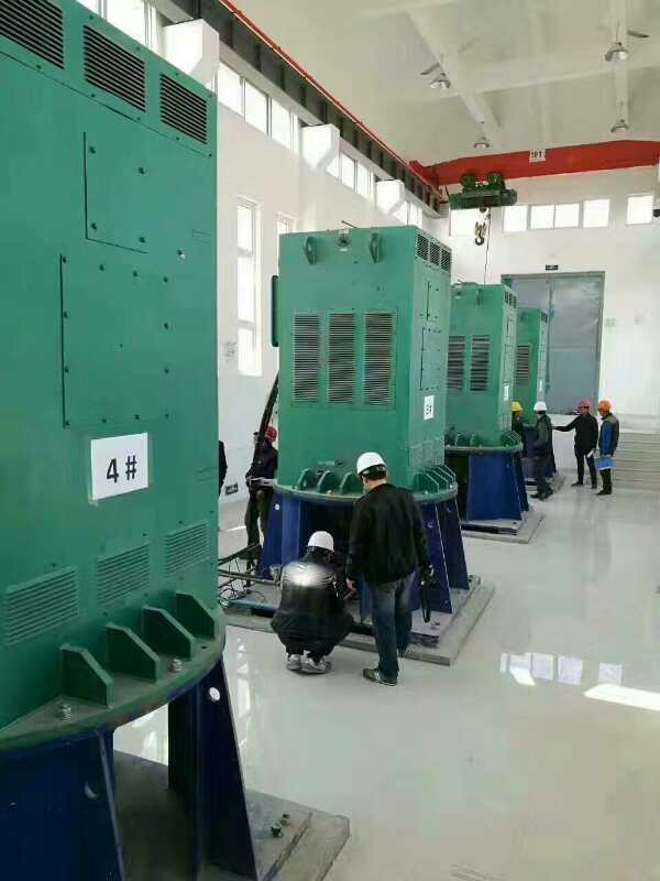 Y7107-12某污水处理厂使用我厂的立式高压电机安装现场